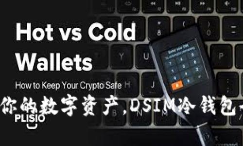  安全守护你的数字资产，DSIM冷钱包全方位解析