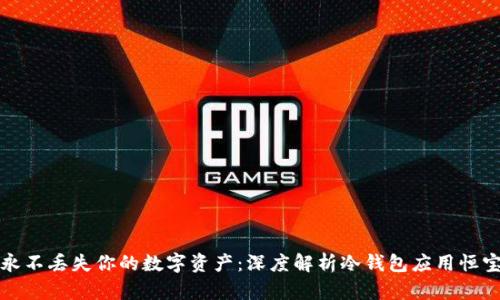 永不丢失你的数字资产：深度解析冷钱包应用恒宝