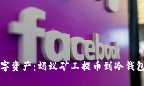 保护你的数字资产：蚂蚁矿工提币到冷钱包的全面指南