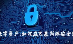 保护你的数字资产：如何在巴基斯坦安全使用冷