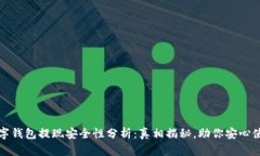 数字钱包提现安全性分析：真相揭秘，助你安心