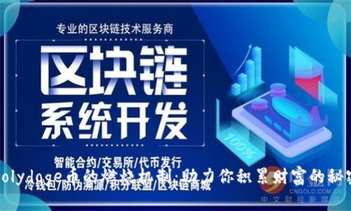 揭秘Polydoge币的燃烧机制：助力你积累财富的秘密武器