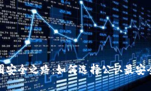 领航币圈安全之路：如何选择公认最安全的钱包
