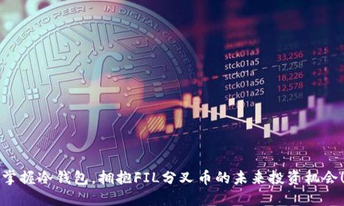 掌握冷钱包，拥抱FIL分叉币的未来投资机会！