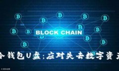 找回丢失的冷钱包U盘：应对失去数字资产的有效