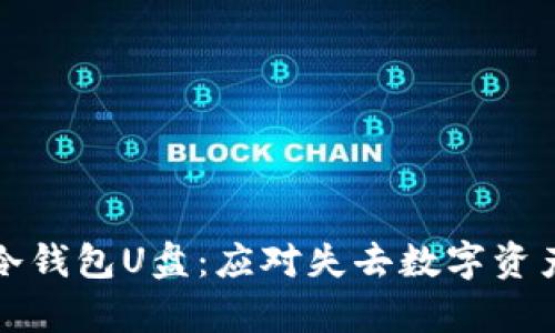找回丢失的冷钱包U盘：应对失去数字资产的有效策略