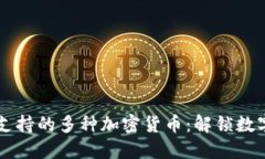 Trezor硬件钱包支持的多种加密货币：解锁数字资