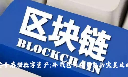 安全存储数字资产：冷钱包与热钱包的完美攻略