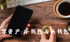 安全存储数字资产：冷钱包与热钱包的完美攻略
