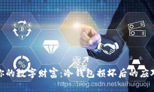 保卫你的数字财富：冷钱包损坏后的应对策略