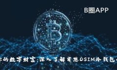 保护你的数字财富：深入了解肖恩DSIM冷钱包的优