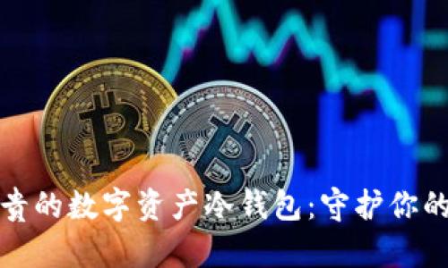 全球最昂贵的数字资产冷钱包：守护你的虚拟财富