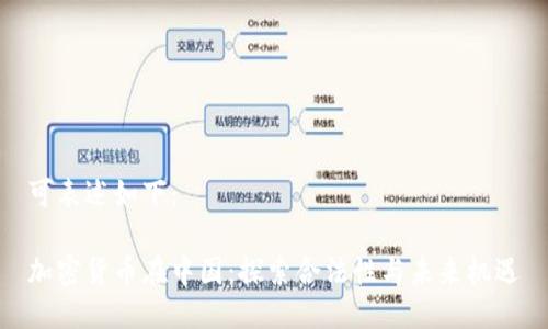 可表述如下：

加密货币在中国：探索合法性与未来机遇