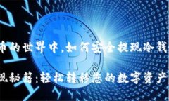 在数字货币的世界中，如何安全提现冷钱包的资