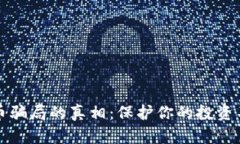 揭开虚拟币骗局的真相：保护你的投资不再受侵