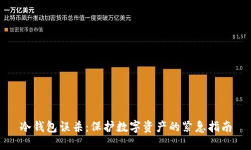 冷钱包误杀：保护数字资产的紧急指南