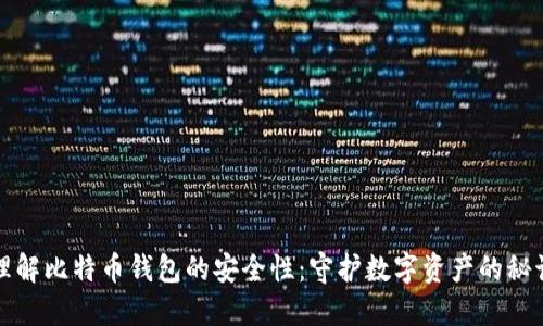 理解比特币钱包的安全性：守护数字资产的秘诀