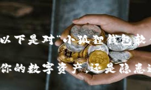 为了确保信息的准确性和效率，以下是对“小狐狸钱包软件安全吗”这个话题的深入分析。

小狐狸钱包的安全性探秘：护航你的数字资产，还是隐患遍地？
