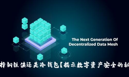 选择钢铁侠还是冷钱包？揭示数字资产安全的秘密