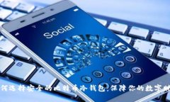 如何选择安全的比特币冷钱包：保障你的数字财