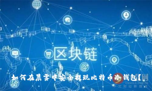 如何在晨雾中安全提现比特币冷钱包？