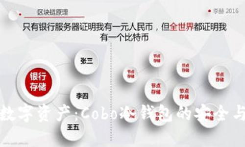 掌控数字资产：Cobo冷钱包的安全与便捷