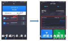 从零开始掌握Pi币：新手必备指南，快速迈向数字
