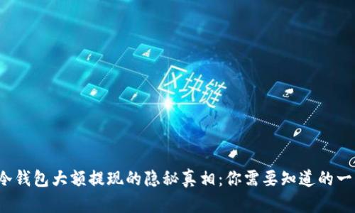 冷钱包大额提现的隐秘真相：你需要知道的一切