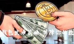 掌握比特冷钱包发币策略，保障你的数字资产安