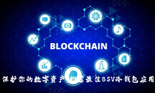 保护你的数字资产：推荐最佳BSV冷钱包应用