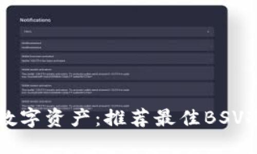 保护你的数字资产：推荐最佳BSV冷钱包应用