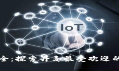 掌握安全：探索丹麦最受欢迎的冷钱包