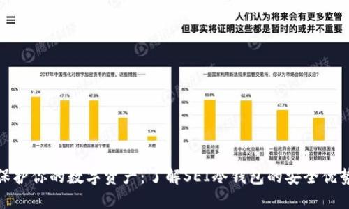 保护你的数字资产：了解SEI冷钱包的安全优势