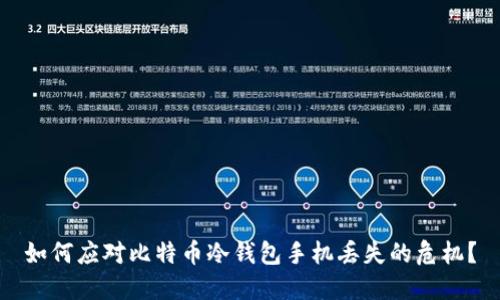 如何应对比特币冷钱包手机丢失的危机？