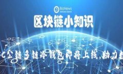 探索未来：DFC公链多链冷钱包即将上线，助力数