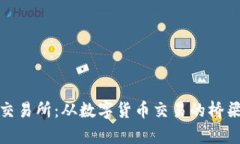 探索主流虚拟币交易所：从数字货币交易的桥梁