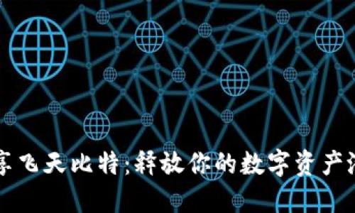 畅享飞天比特：释放你的数字资产潜力