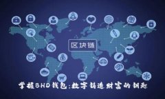 掌握BHD钱包：数字铸造财富的钥匙