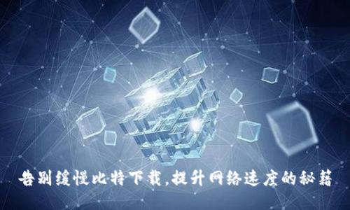 告别缓慢比特下载，提升网络速度的秘籍
