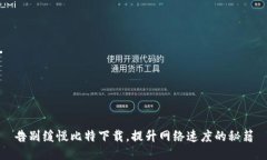 告别缓慢比特下载，提升网络速度的秘籍