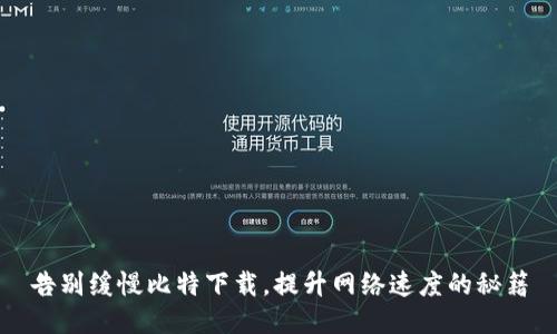 告别缓慢比特下载，提升网络速度的秘籍
