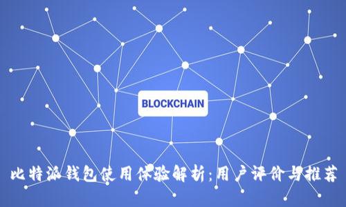 比特派钱包使用体验解析：用户评价与推荐