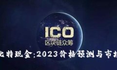 揭秘比特现金：2023价格预测与市场动向