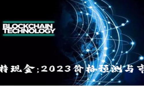揭秘比特现金：2023价格预测与市场动向