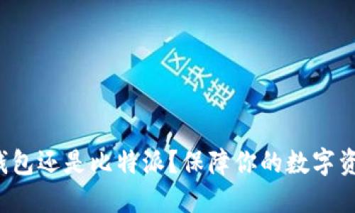 选择冷钱包还是比特派？保障你的数字资产安全！