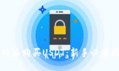 比特派购买USDT：新手必看指南