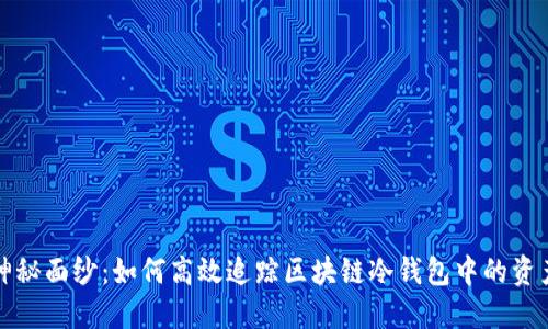 揭开神秘面纱：如何高效追踪区块链冷钱包中的资产流动