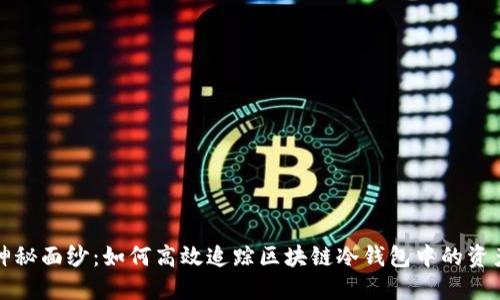 揭开神秘面纱：如何高效追踪区块链冷钱包中的资产流动
