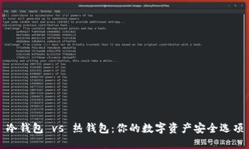 冷钱包 vs 热钱包：你的数字资产安全选项