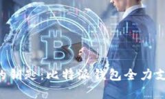 掌控数字财富的钥匙：比特派钱包全力支持BEP2